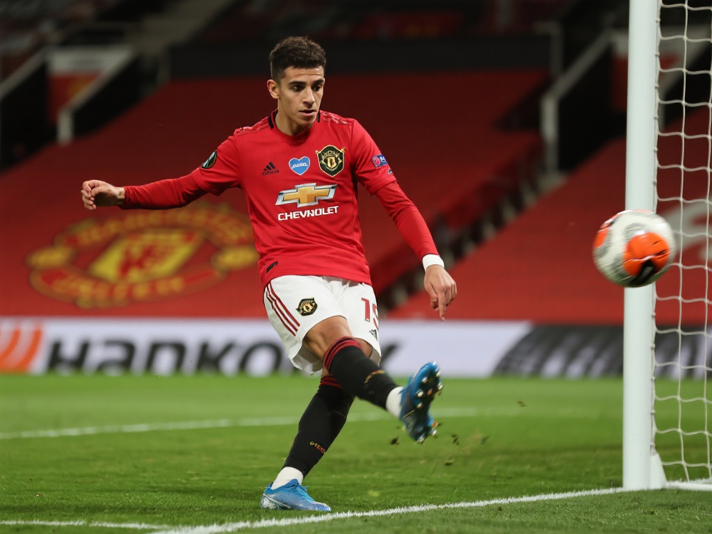 对不同的网 对不同的网